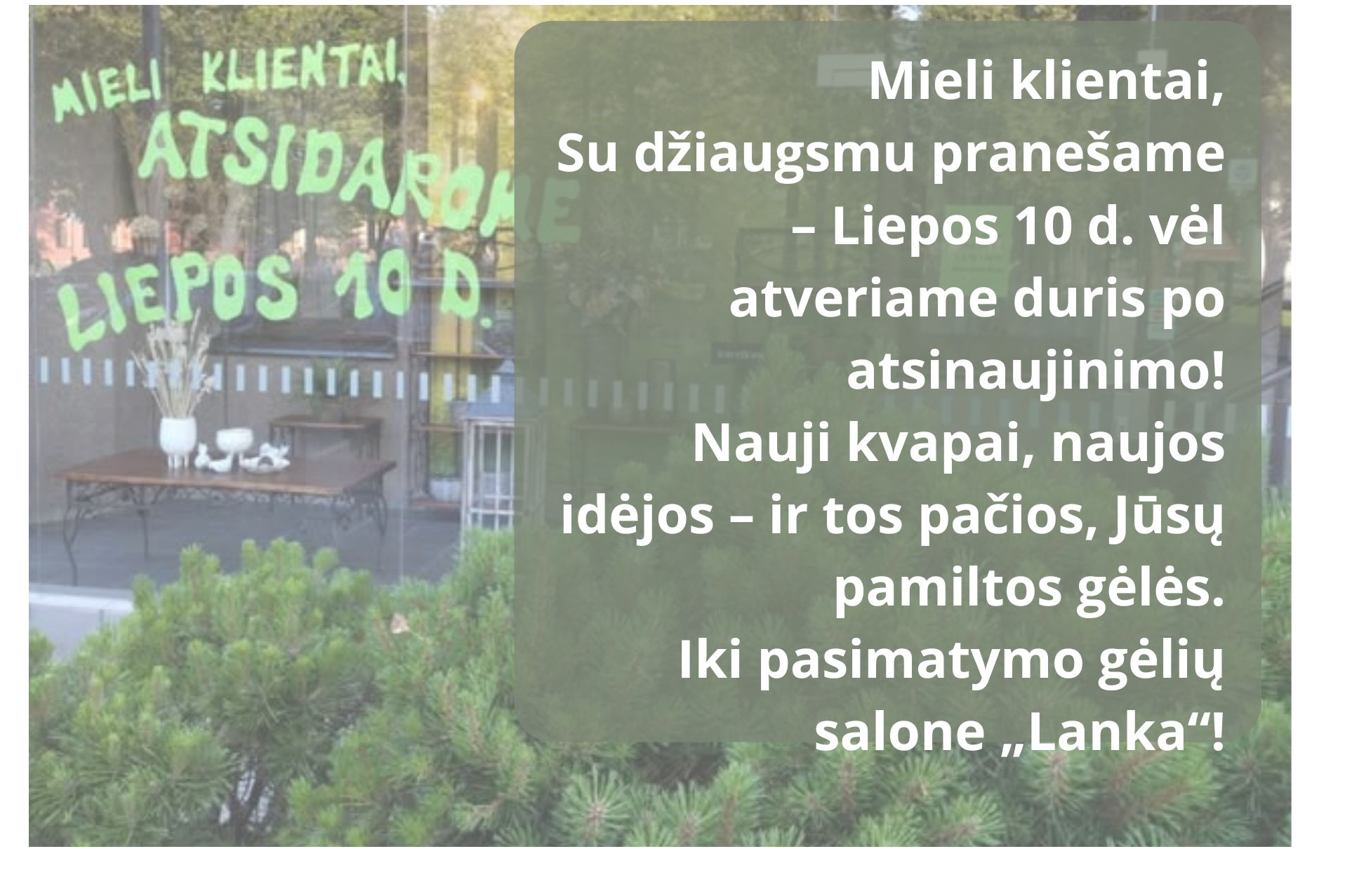 Atidaroma gėlių parduotuvė