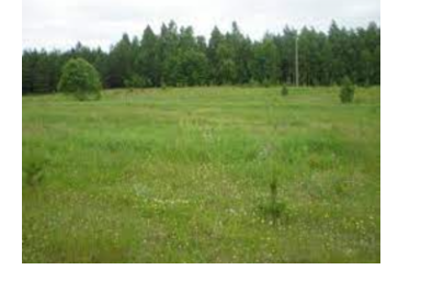 Parduodama nuosava žemė